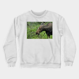 Lovely Lady Moose Crewneck Sweatshirt